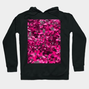 Pink flower fushia power Hoodie